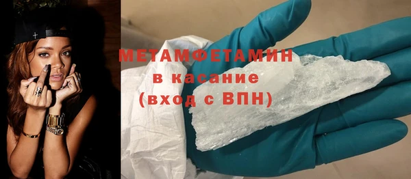 прущие грибы Лабытнанги