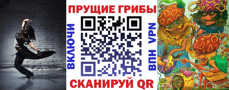 Галлюциногенные грибы Psilocybe сколько стоит это официальный сайт Курск